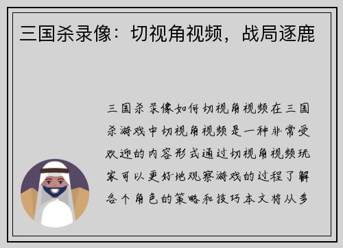 三国杀录像：切视角视频，战局逐鹿
