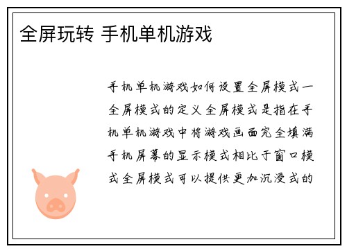 全屏玩转 手机单机游戏