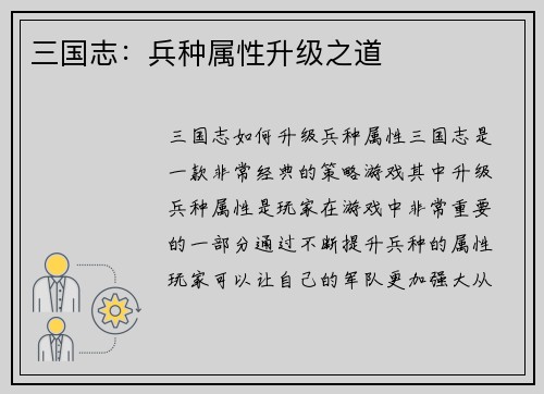 三国志：兵种属性升级之道