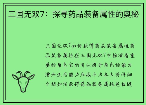 三国无双7：探寻药品装备属性的奥秘